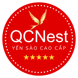 Logo QCNEST